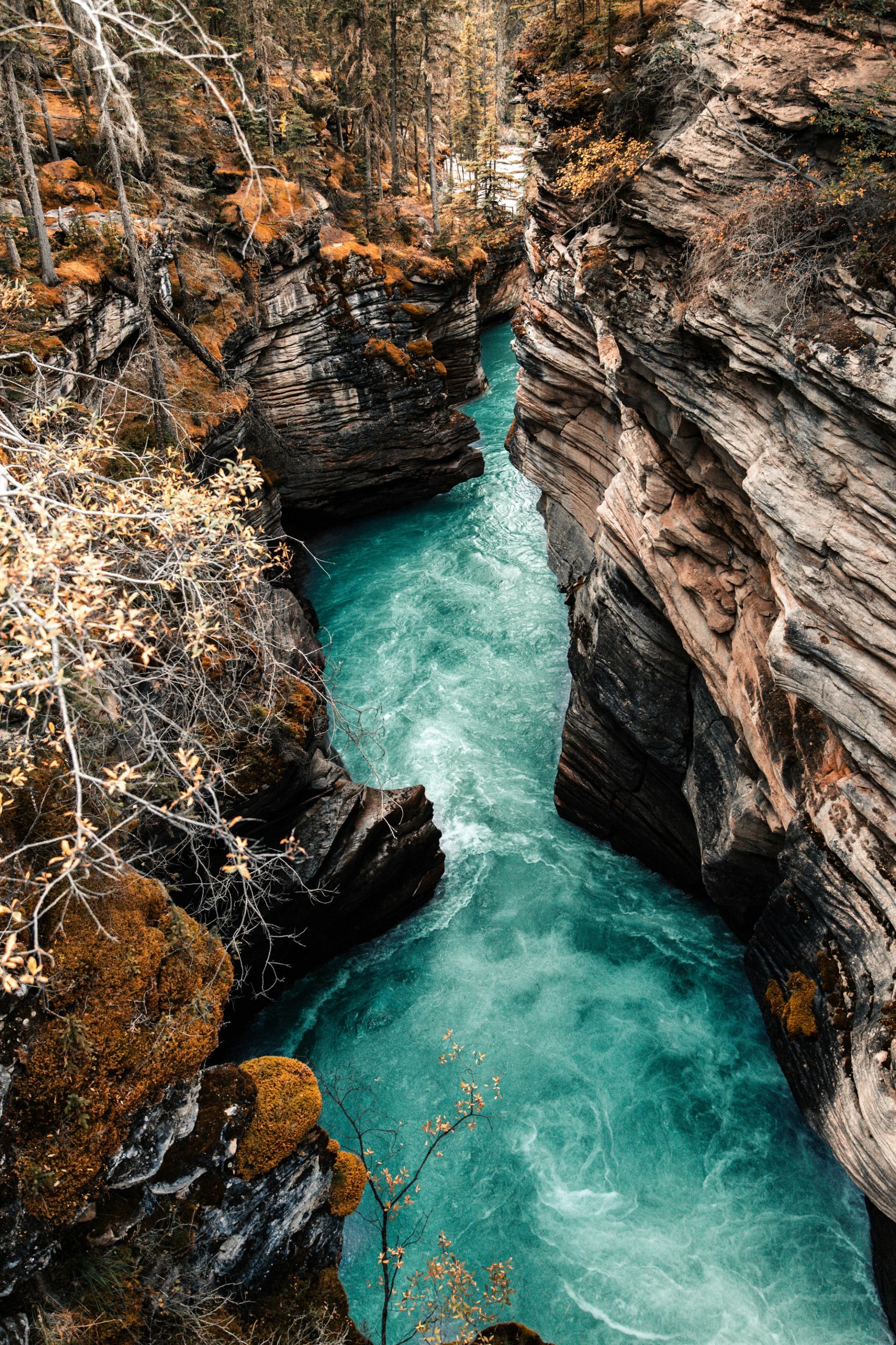 Turquoise river flows through narrow rocky canyon with mossy cliffs and tall evergreen trees.