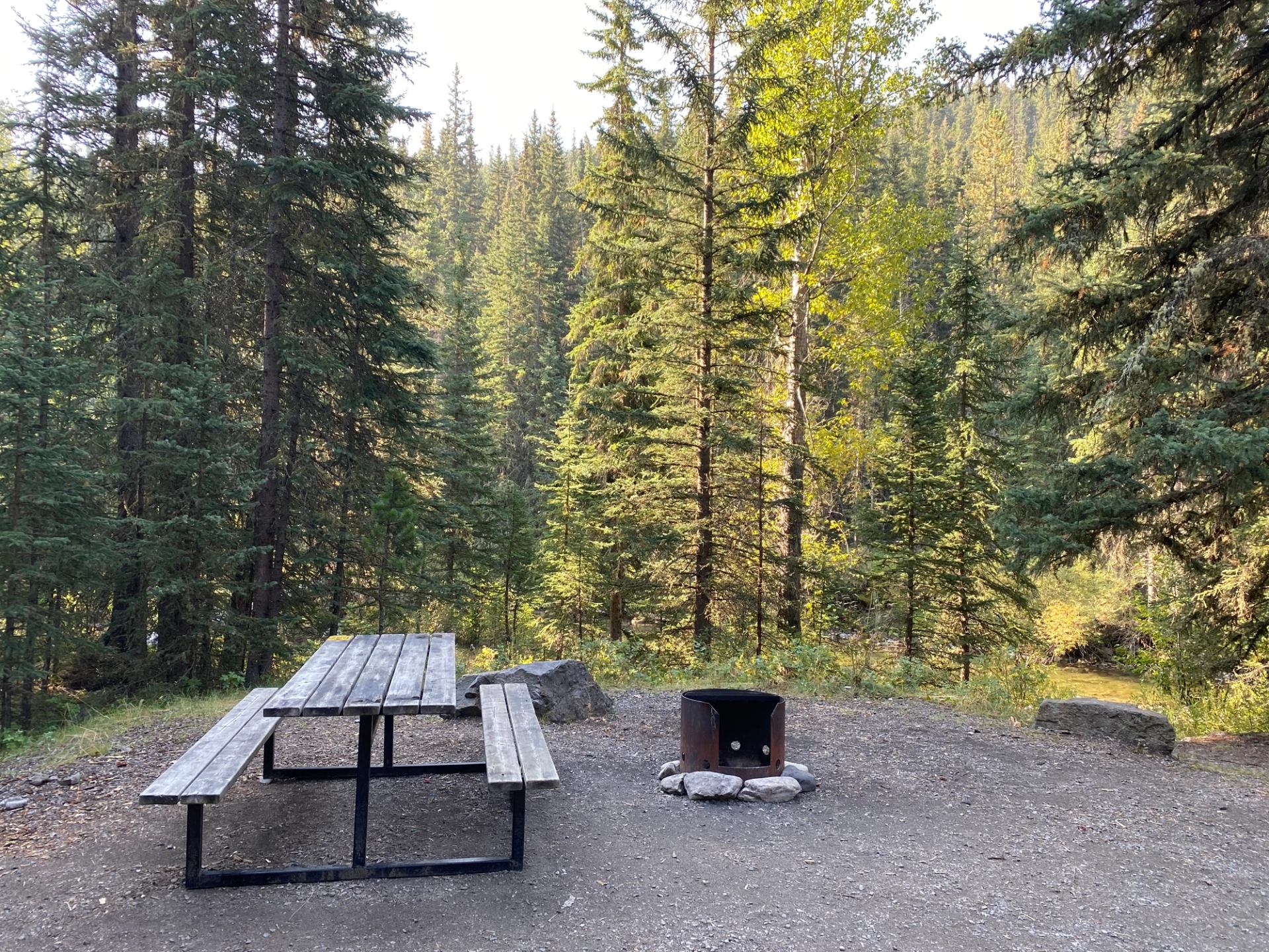 Wooden picnic table and metal fire ring in forest clearing beside small creek.