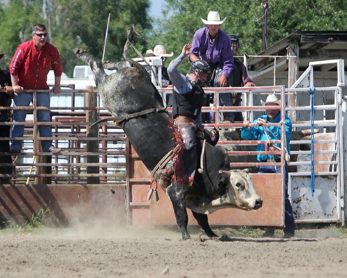 Bull rider grips bucking bull in dusty rodeo arena as onlookers watch from fence.