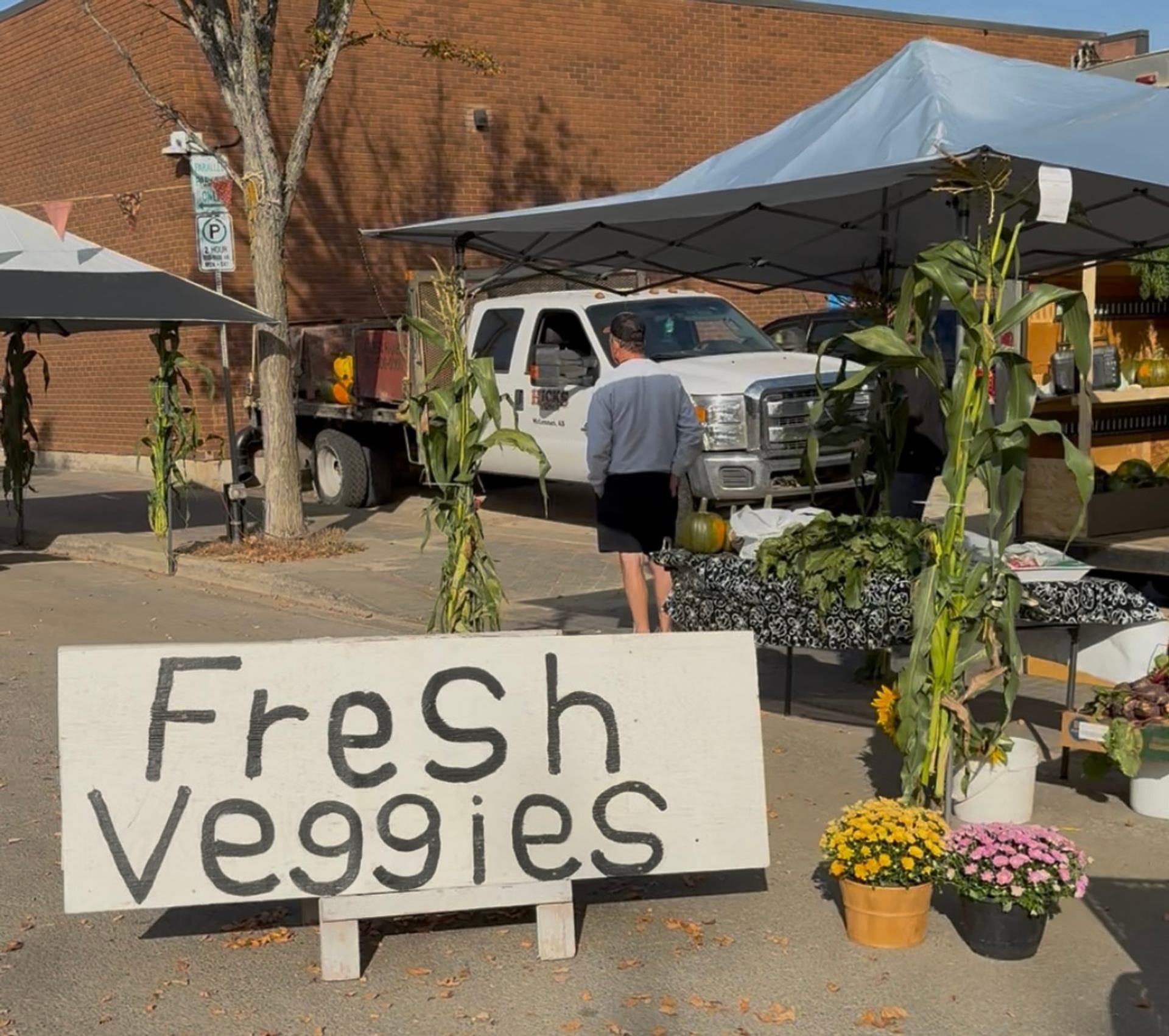 Farmers’ market stall with Fresh Veggies sign, produce tables, flowers and parked truck.
