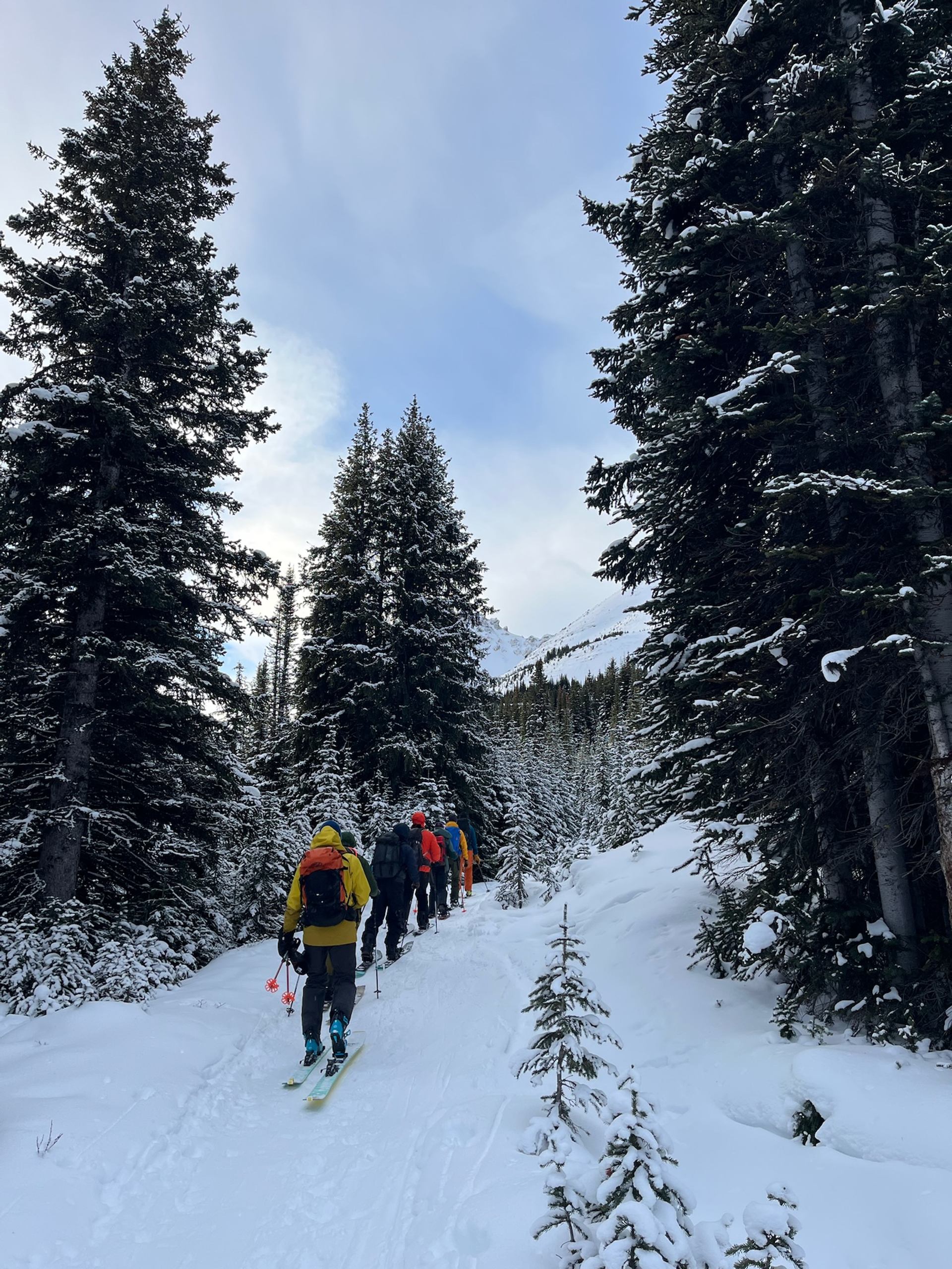Group hiking on a snowy trail through tall evergreen trees in a winter mountain setting.