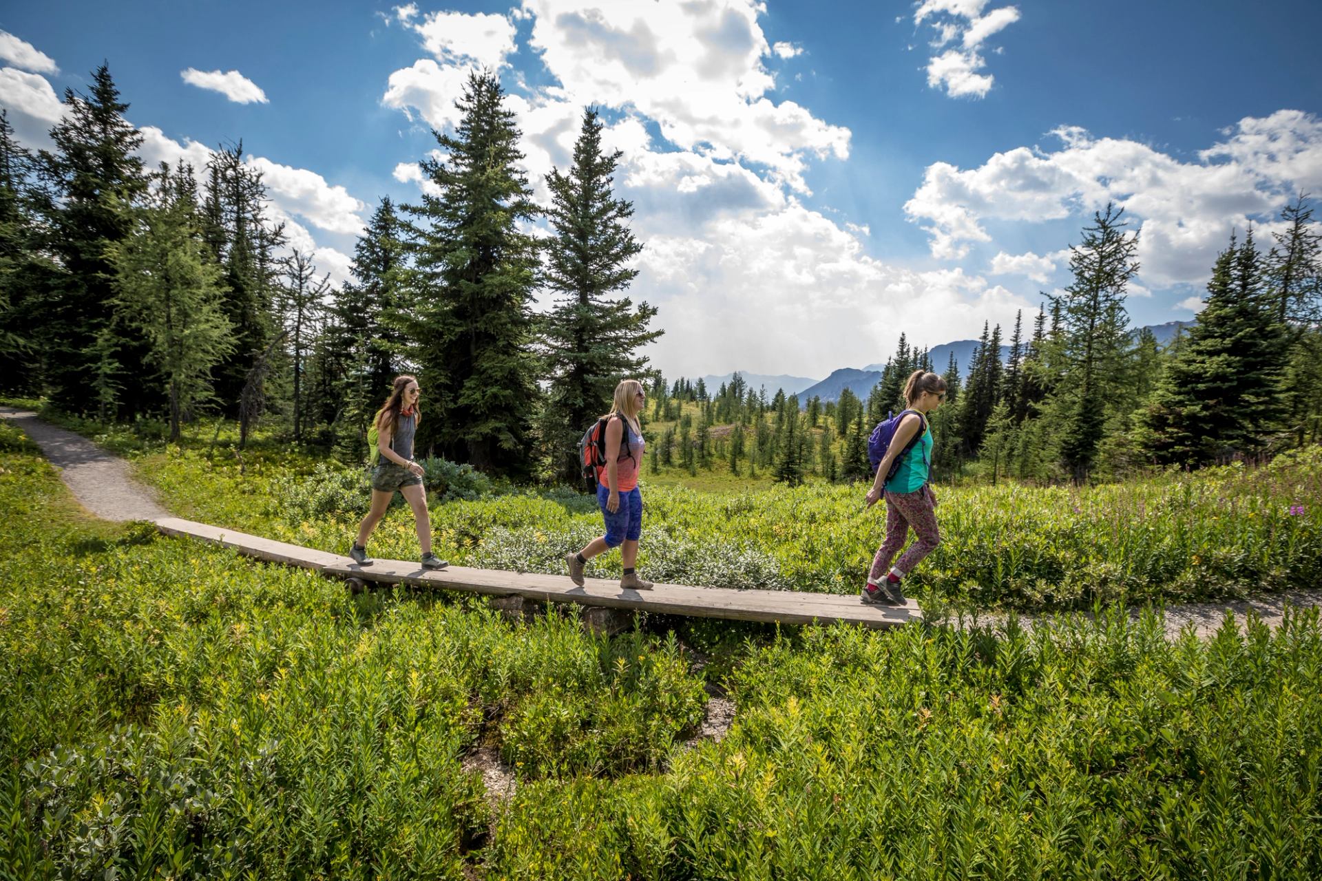 Hikers with backpacks walk along a narrow boardwalk through a green mountain meadow.