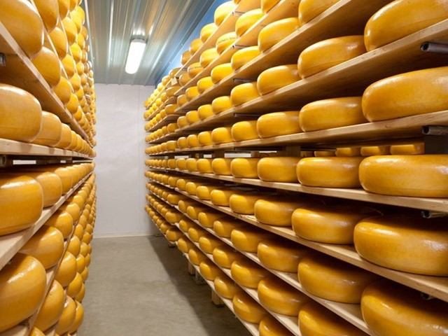 A room full of cheese rounds
