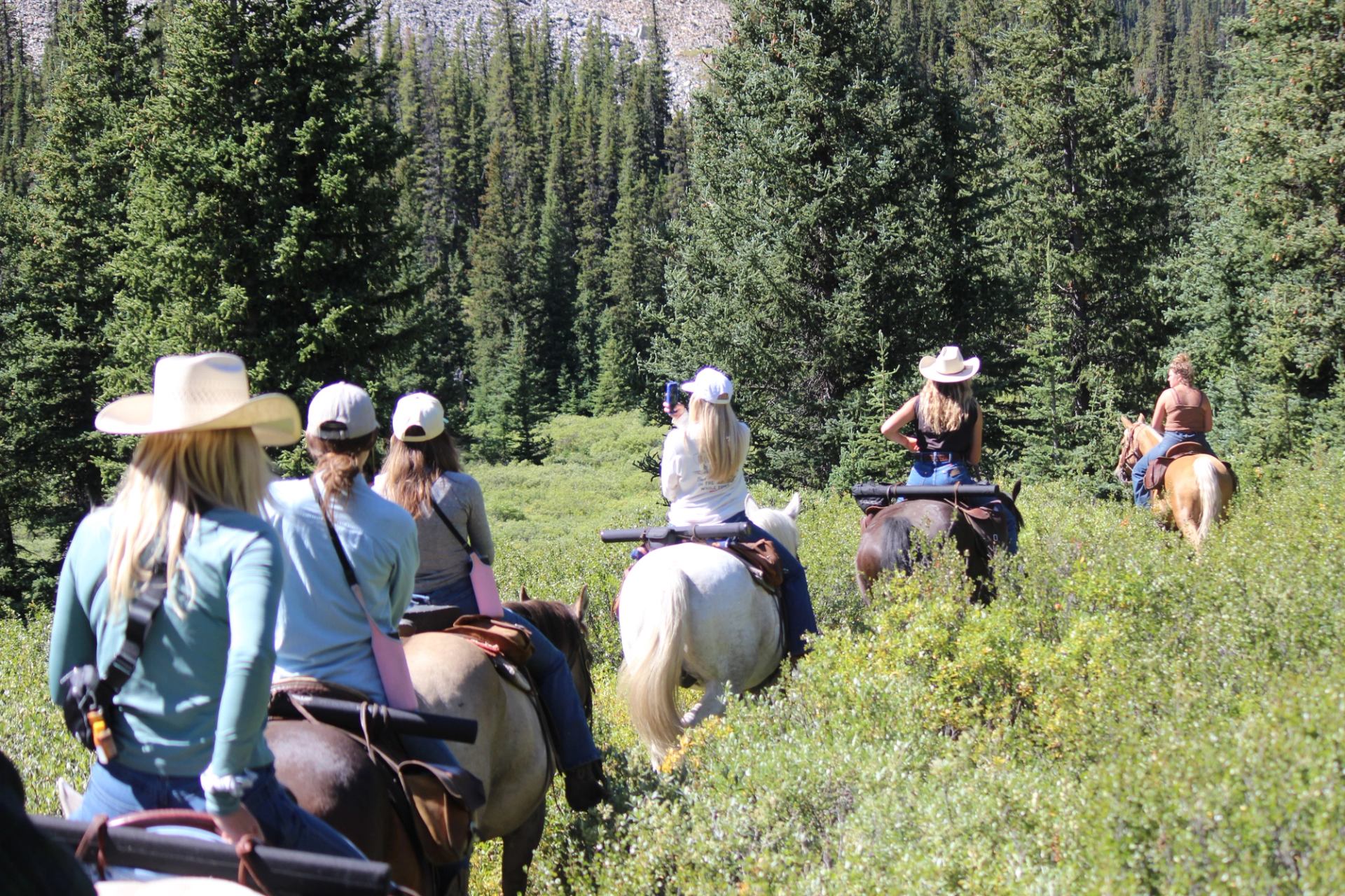 A small group rides horses along a narrow trail through dense evergreen forest and summer greenery.