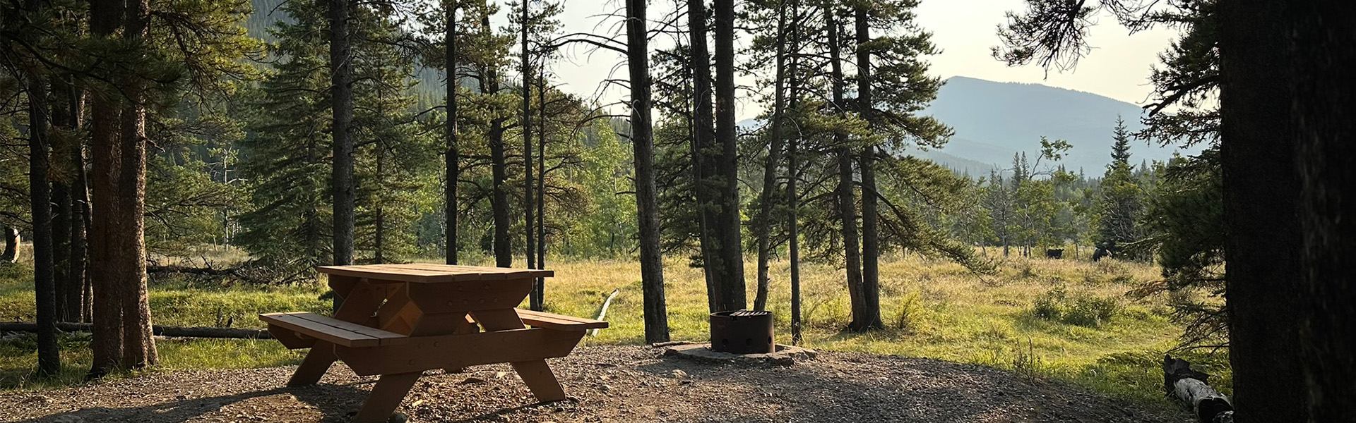 Wooden picnic table and fire pit in forest clearing with distant tree-covered hills.