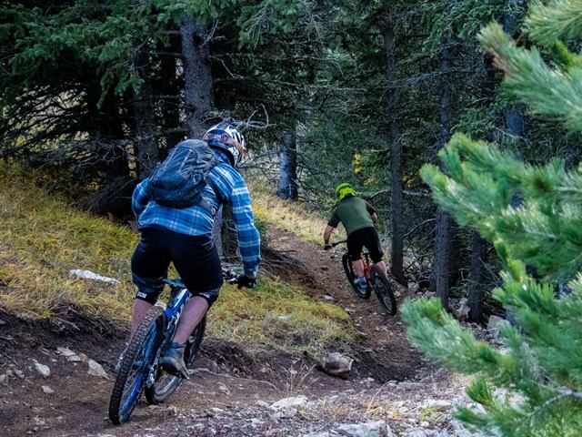 Two mountain bikers riding down a narrow forest trail surrounded by trees.