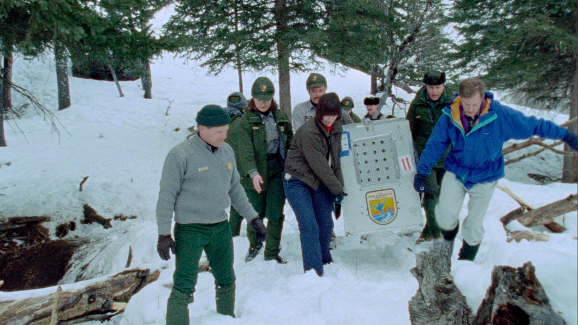 People in winter clothing carry a large wildlife service crate through snowy forest.