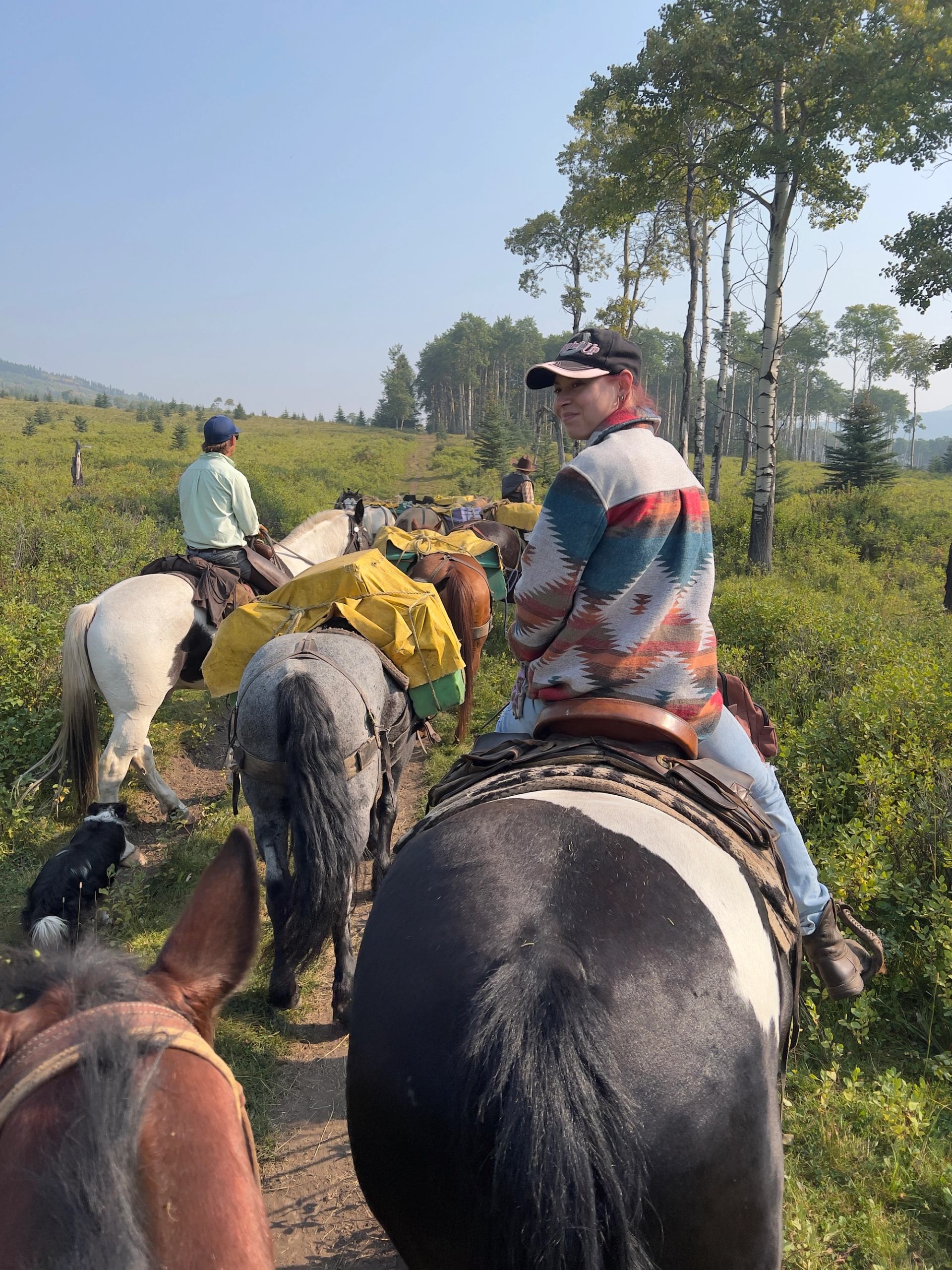 Riders and packhorses travelling along a forested trail with gear loaded.