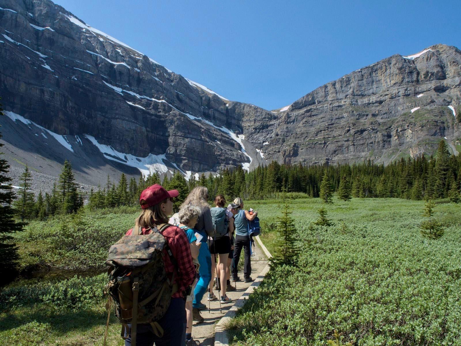 A group backpacking through a path