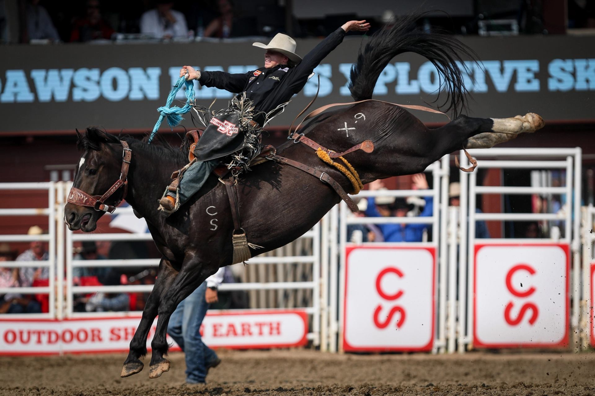Rider holds on as horse leaps high during Calgary Stampede bronc ride.