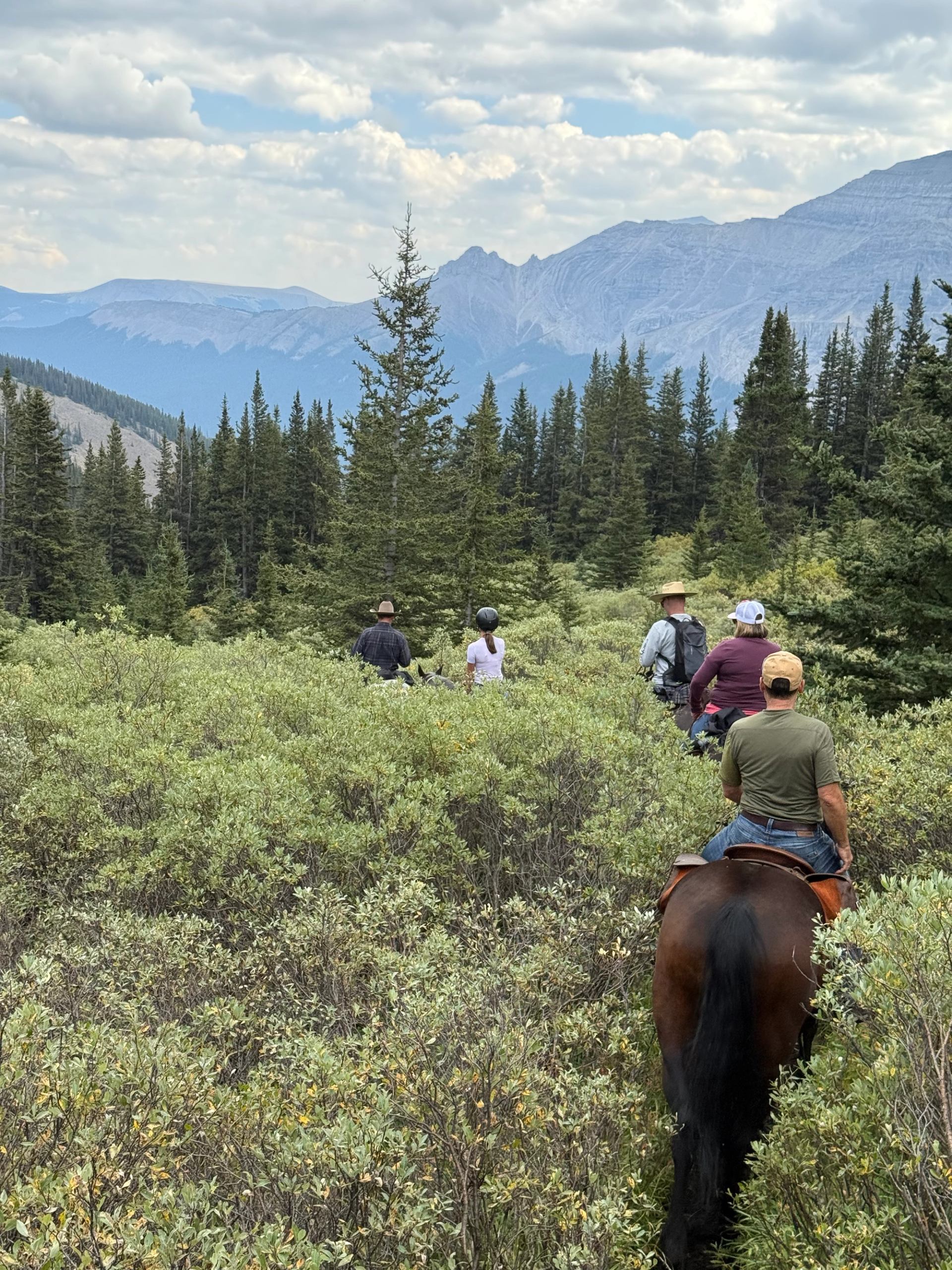 Horseback riders following a narrow trail through tall shrubs toward distant mountains.