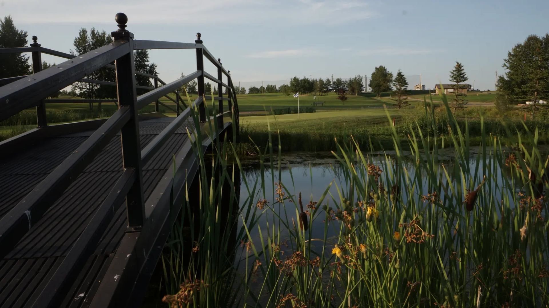 Wooden bridge over pond with tall reeds, leading toward distant golf green and flag.