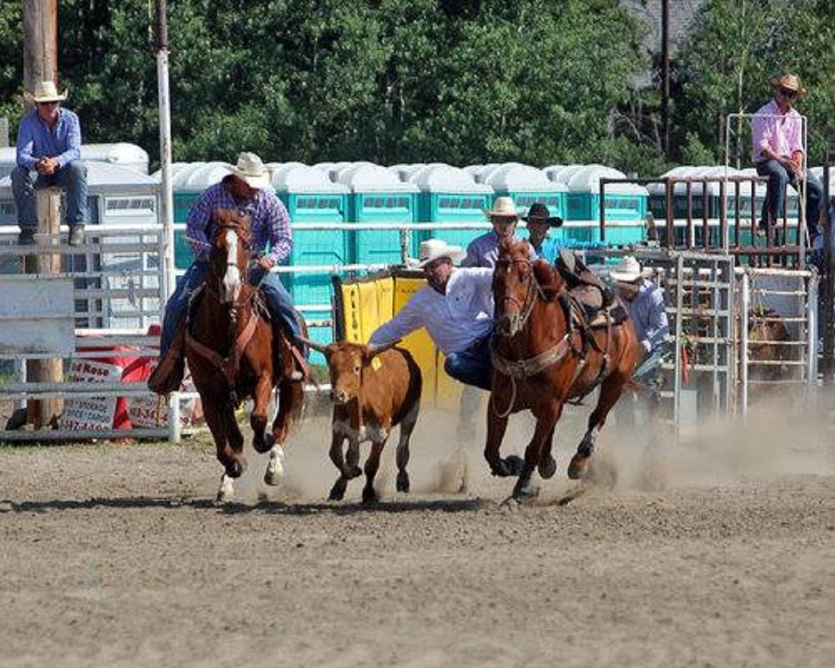 Two men riding horses, wrangling in a calf