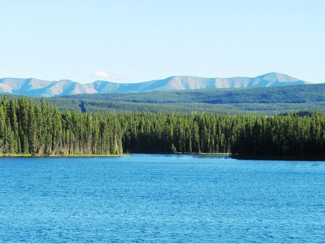 Bright blue lake surrounded by dense evergreen forest with mountains in the distance.