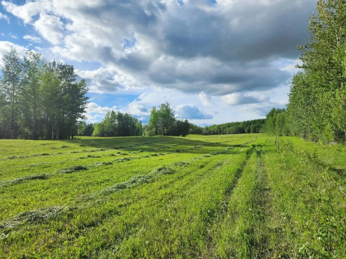 Green field with cut grass rows, tree line, and cloudy blue sky.