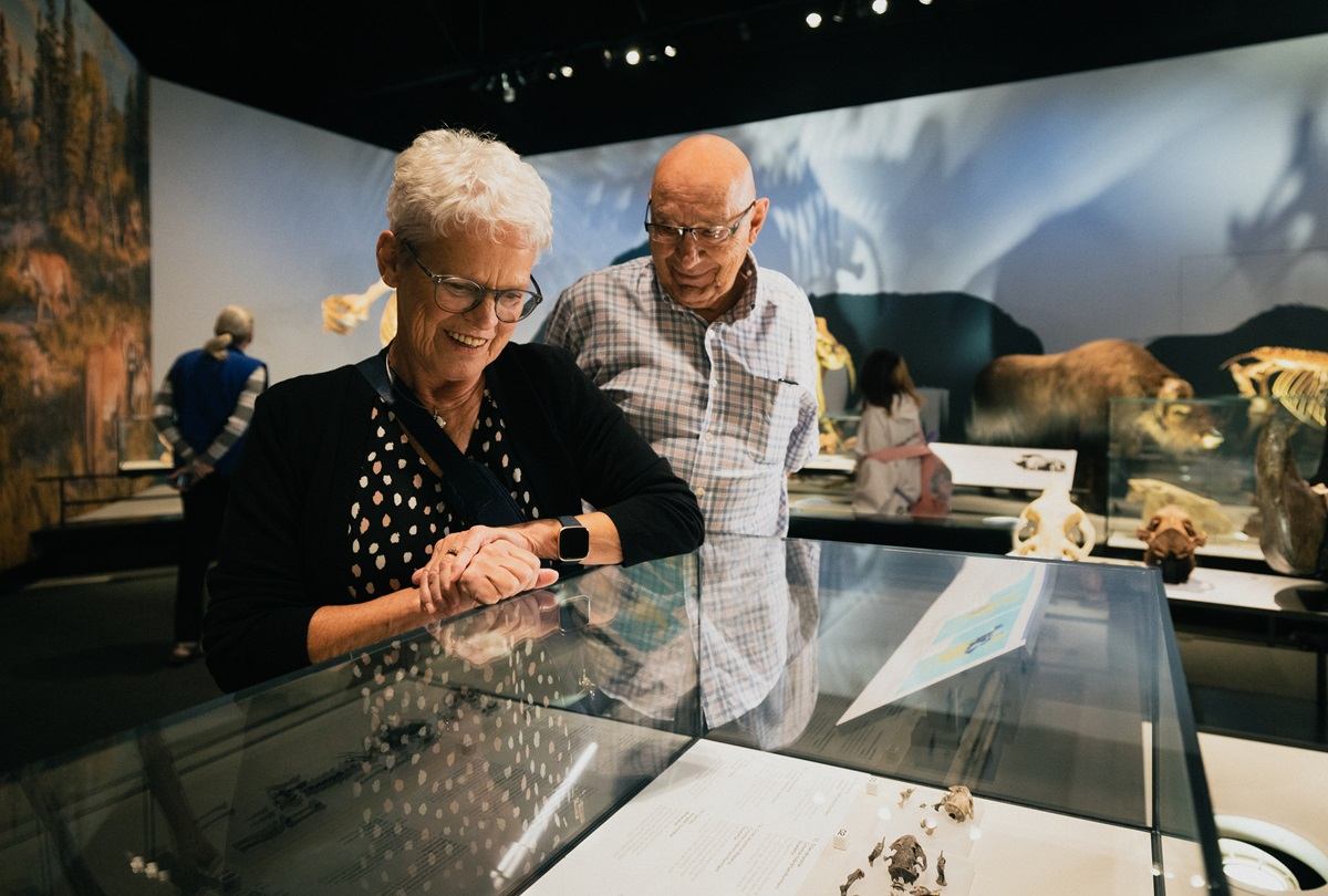 Two seniors stand in a museum gallery beside a display case with animals.