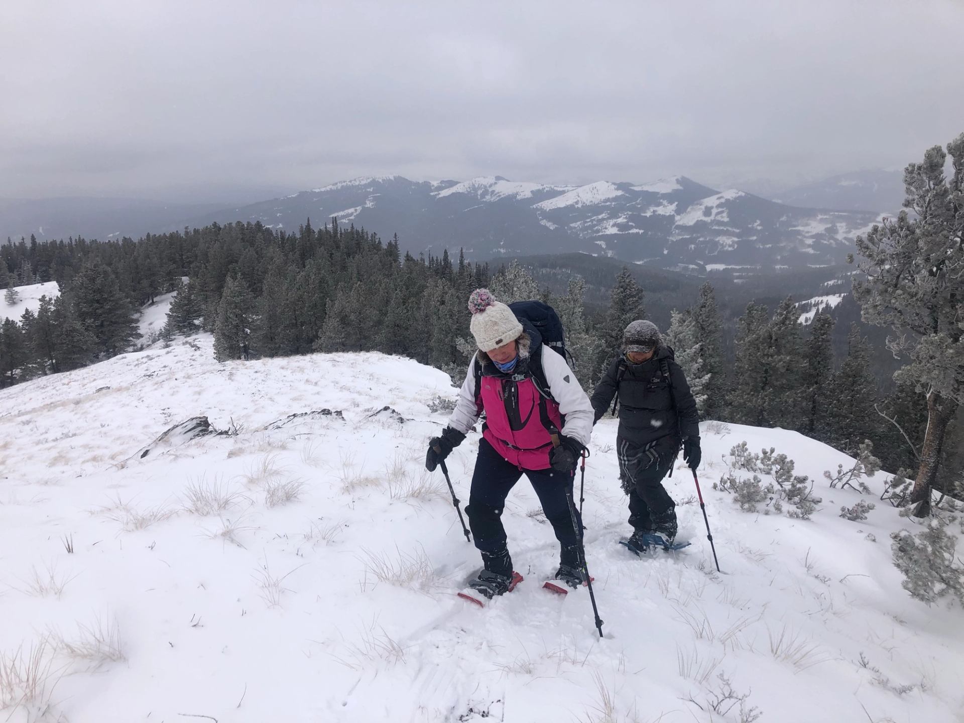 Two hikers snowshoeing up a snowy slope with forested hills and distant mountains at Mount Backus.