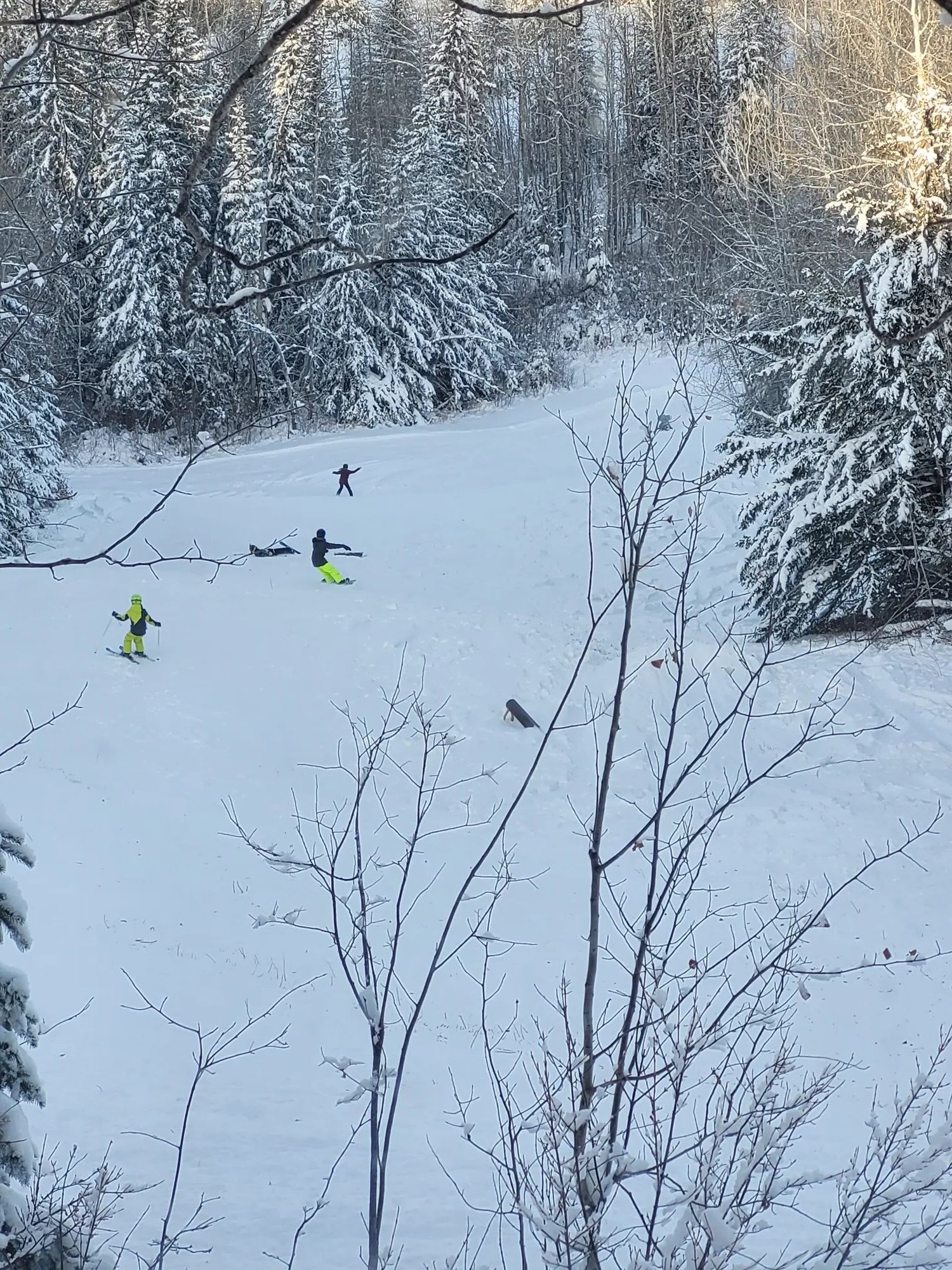 Skiers in bright gear descend a snowy forest slope.