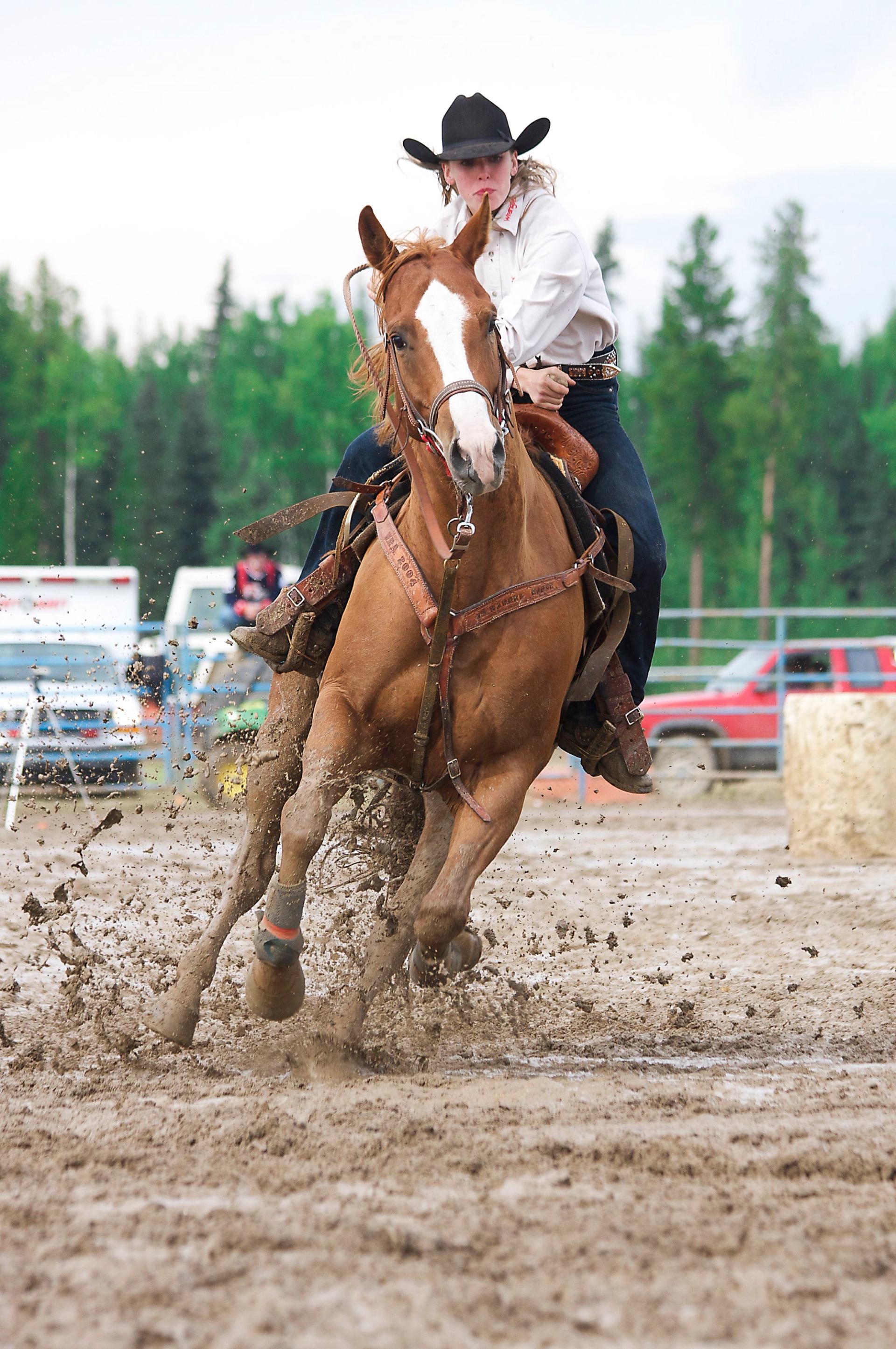 Horse kicking up mud while making a fast turn during a rodeo run.