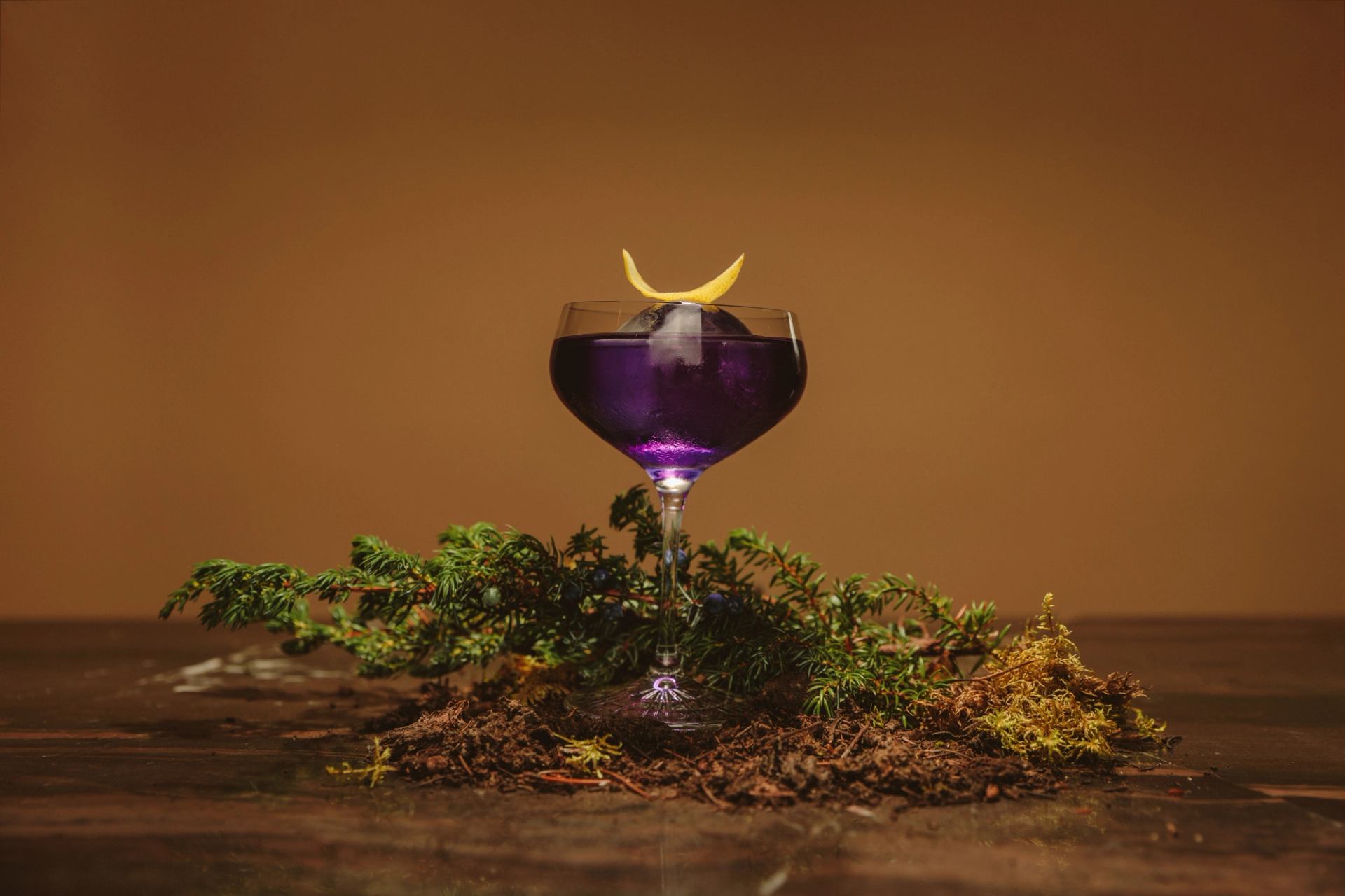 Purple cocktail in a coupe glass with citrus garnish, surrounded by greenery on a wooden surface.