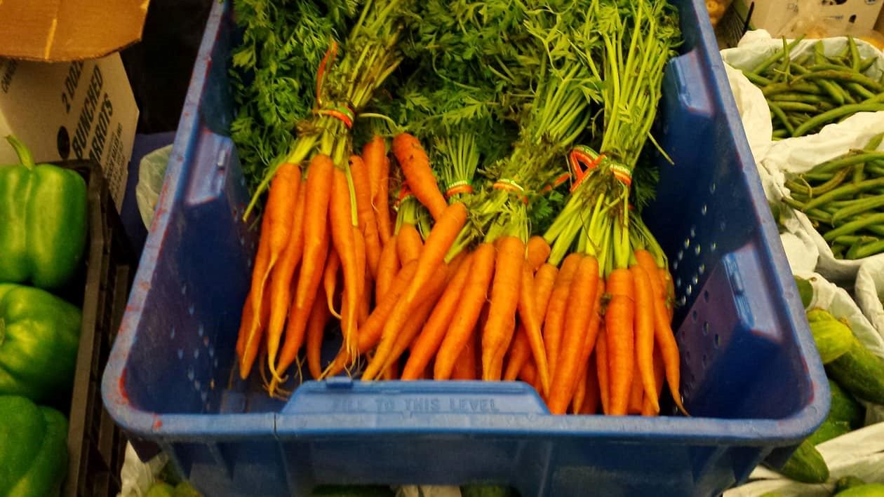 Bunches of carrots with greens in a blue bin beside green beans.