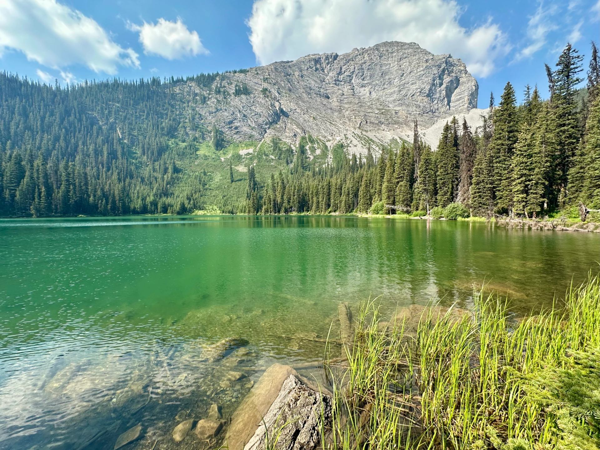 Turquoise mountain lake with clear water, rocky shore and dense evergreen forest.