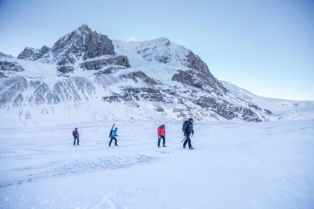 A guide leads a group tethered together by slack rope, mountains in the background as they ice walk across the Athabasca Glacier on the Icefields Parkway.