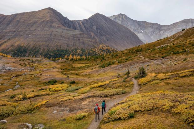 Wide shot of couple hiking on trail in Ptarmigan Cirque in Peter Lougheed Provincial Park.