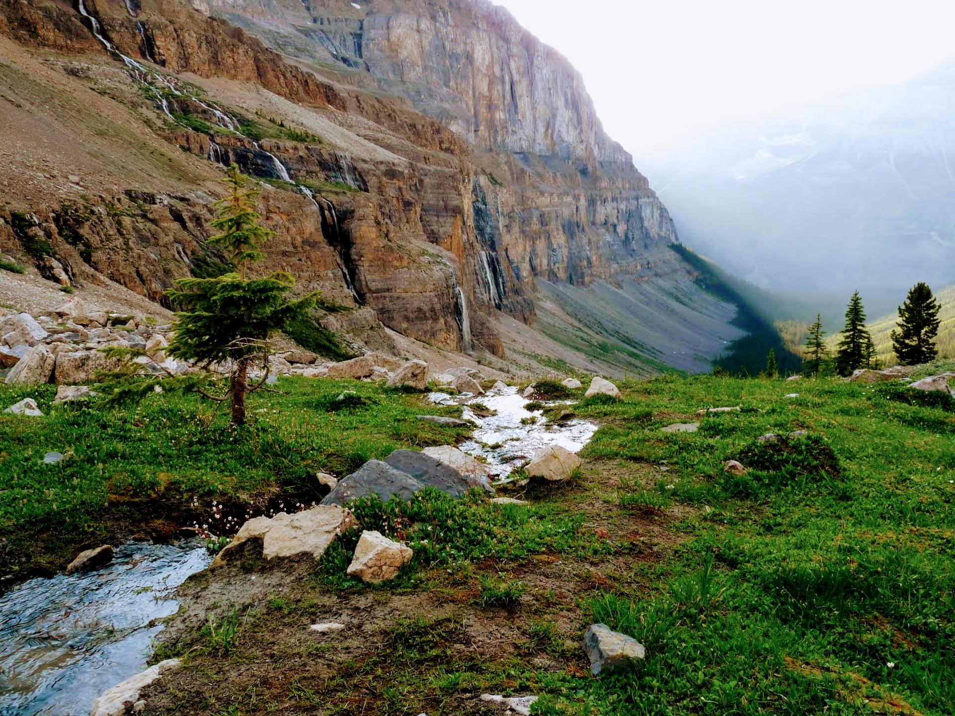 Rocky mountain valley with grassy slope, small creek, and conifer trees beneath cliffs.