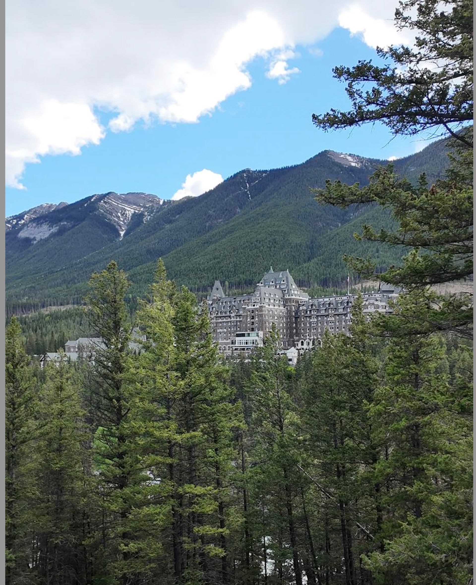 Stone castle-like hotel rises above dense evergreen forest with mountain backdrop and clouds.