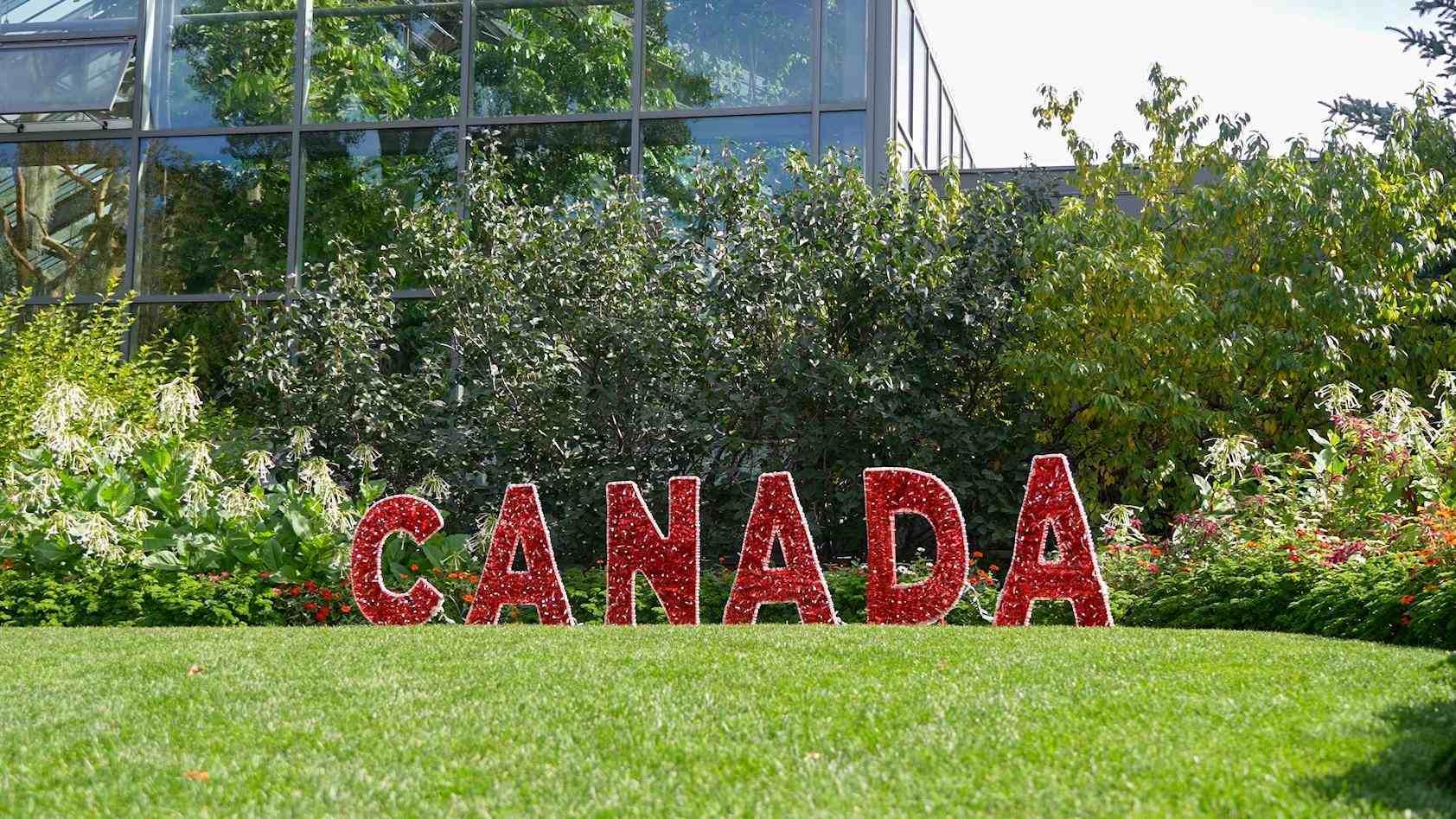 Red floral CANADA letters stand on green lawn before glass building and shrubs.