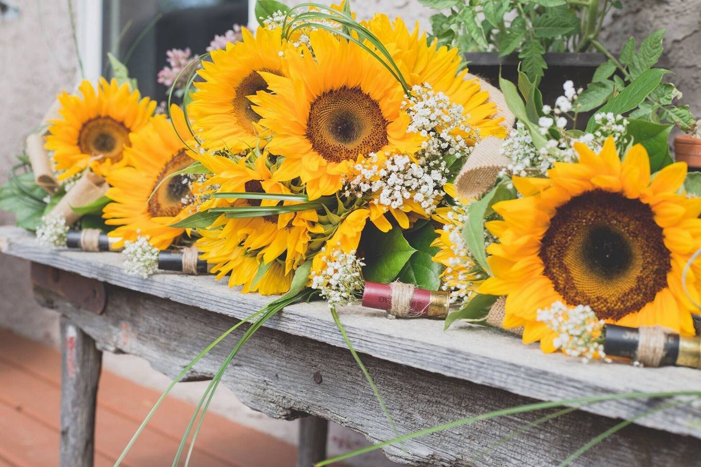 Earthy Accents | Canada's Alberta thumbnail