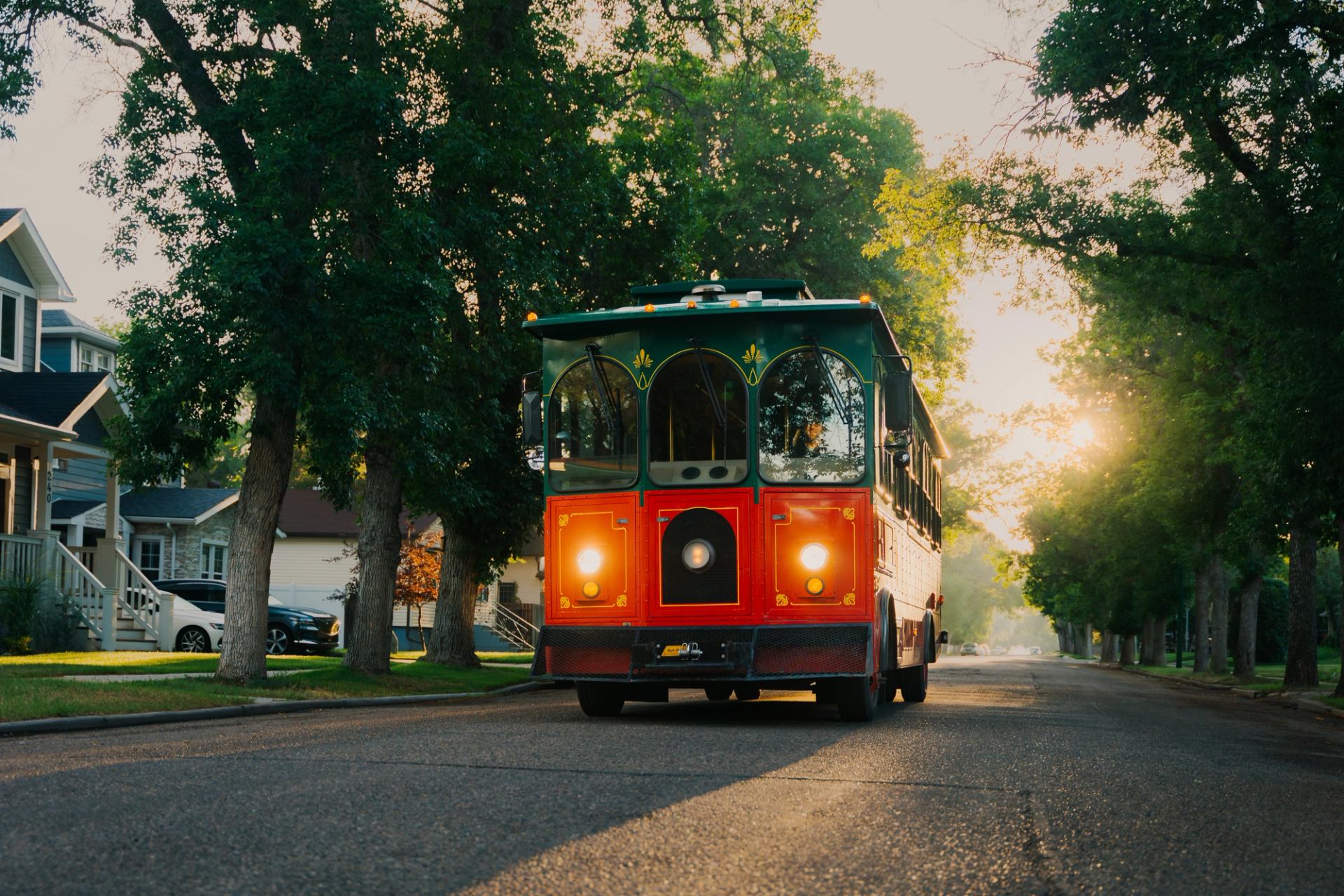 Red and green trolley bus drives down a tree-lined residential street at sunrise.