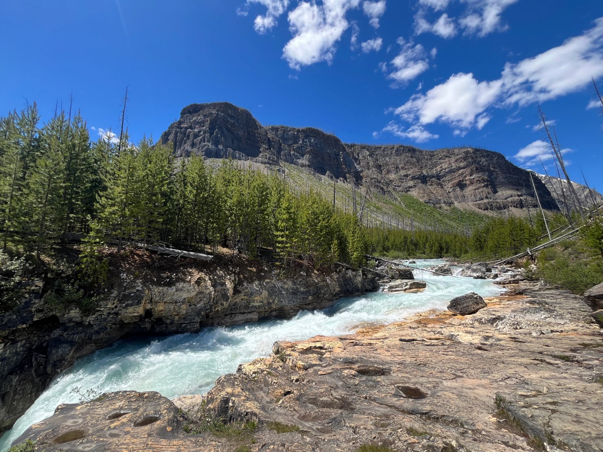 ast flowing mountain river cutting through rock and forest terrain.