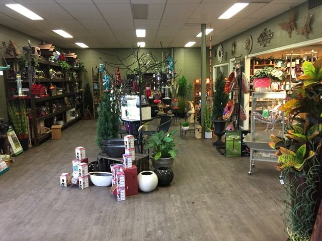 Garden centre interior with shelves of plants, pots and garden decor displays.