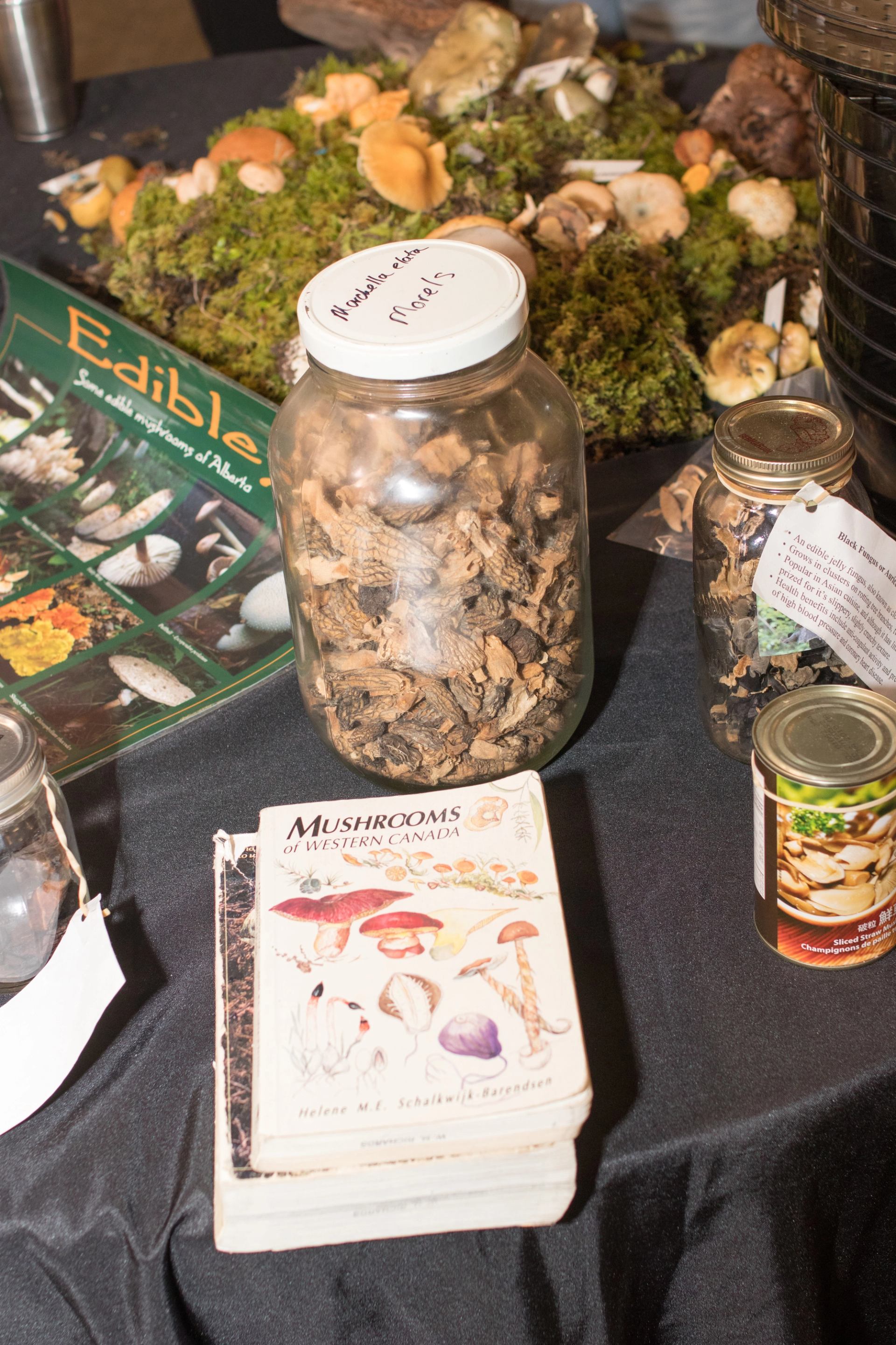 Dried, canned, and fresh mushrooms