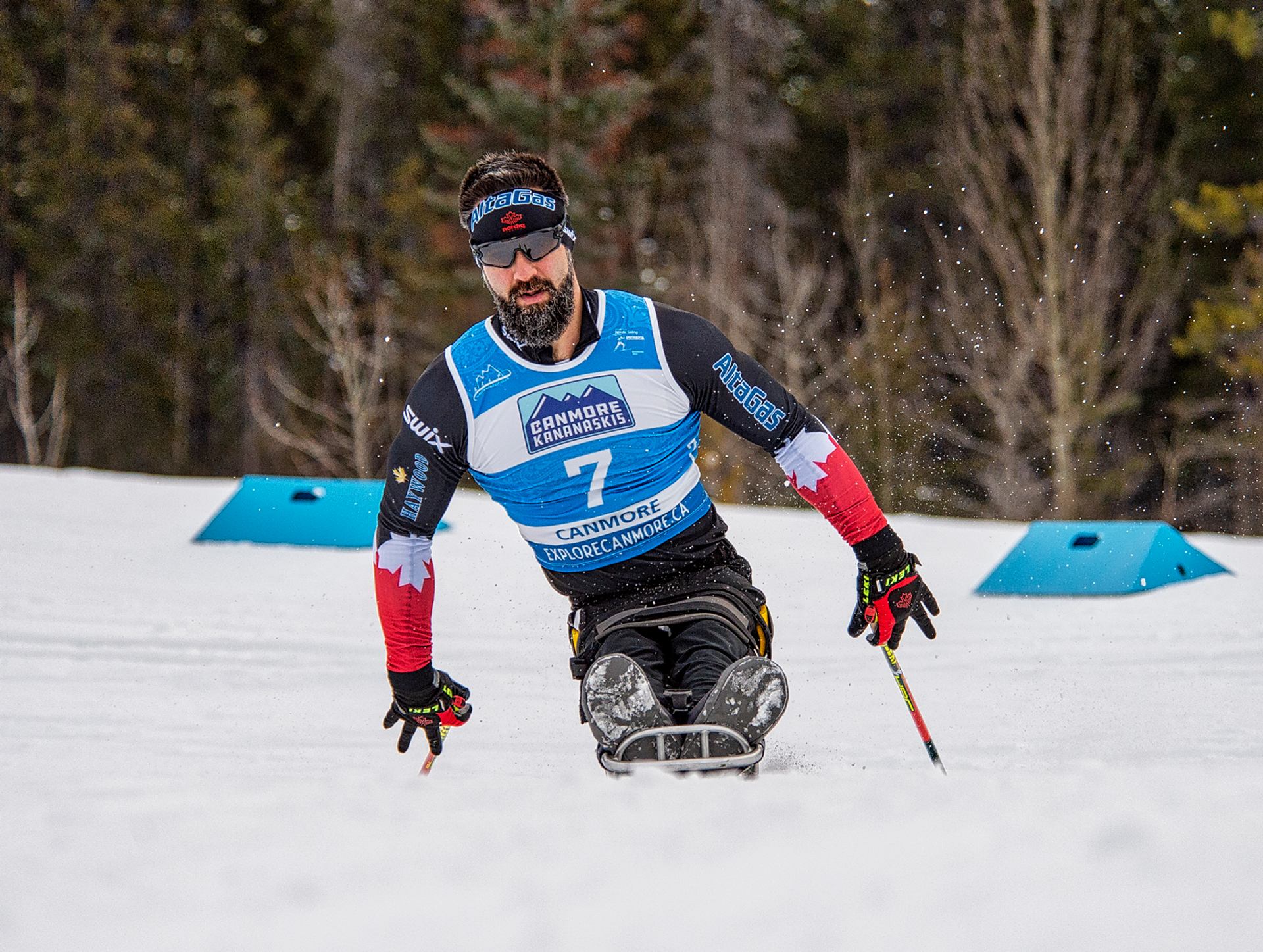 A Canadian sit-skier competes with intensity, surrounded by fresh snow and alpine forest.