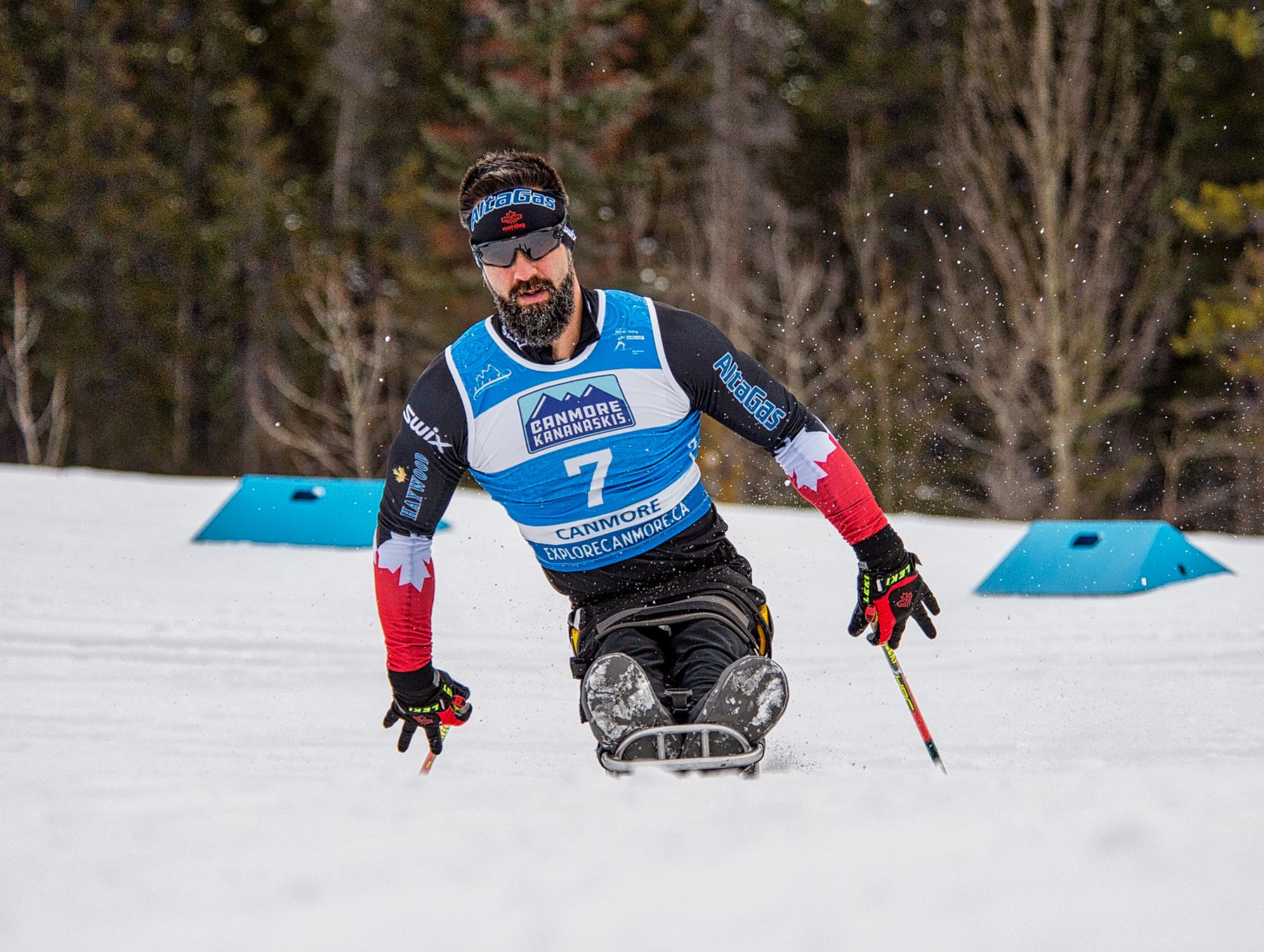 A Canadian sit-skier competes with intensity, surrounded by fresh snow and alpine forest.