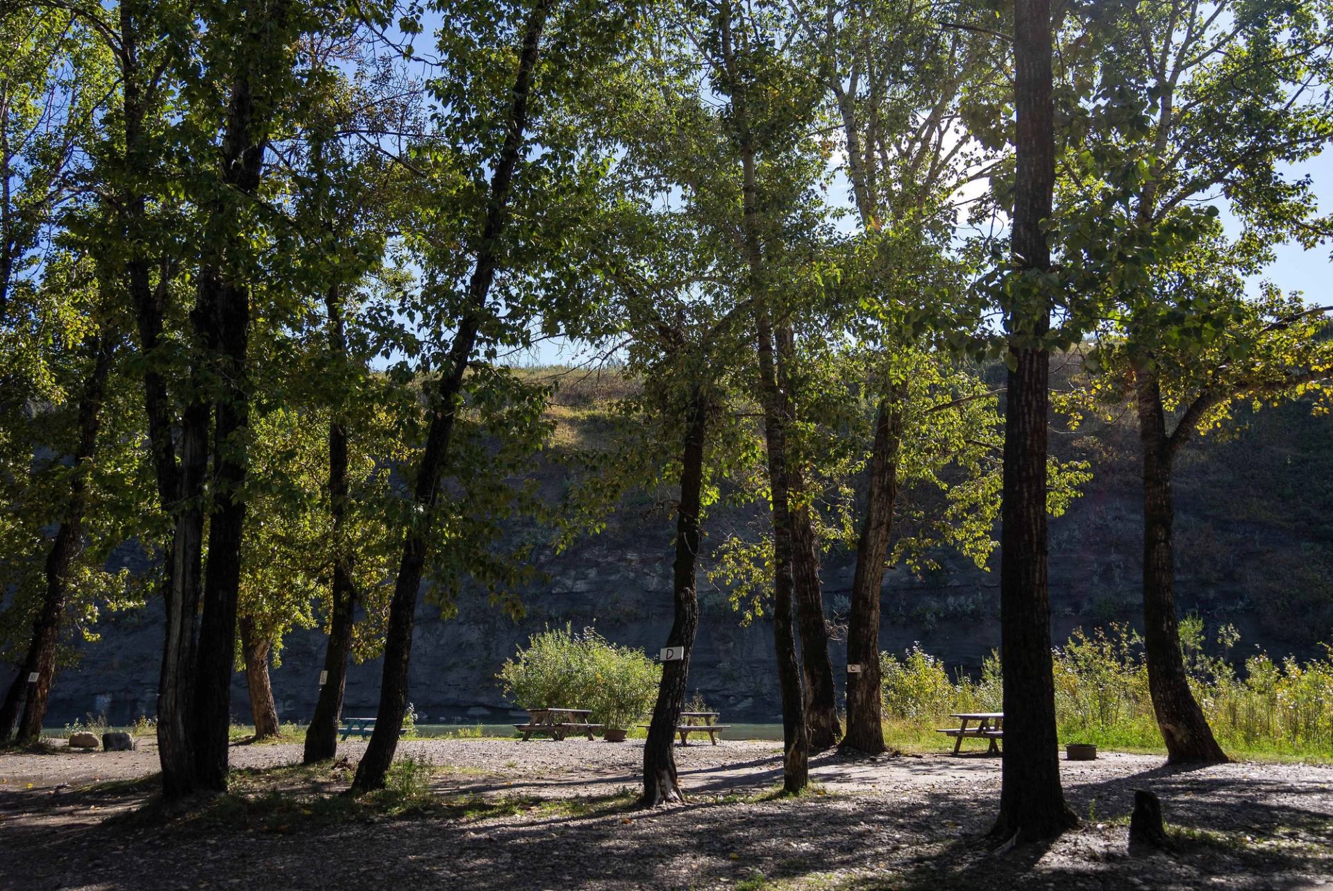 Sunlight filters through trees at a campsite with picnic tables and a rocky hill in the background.