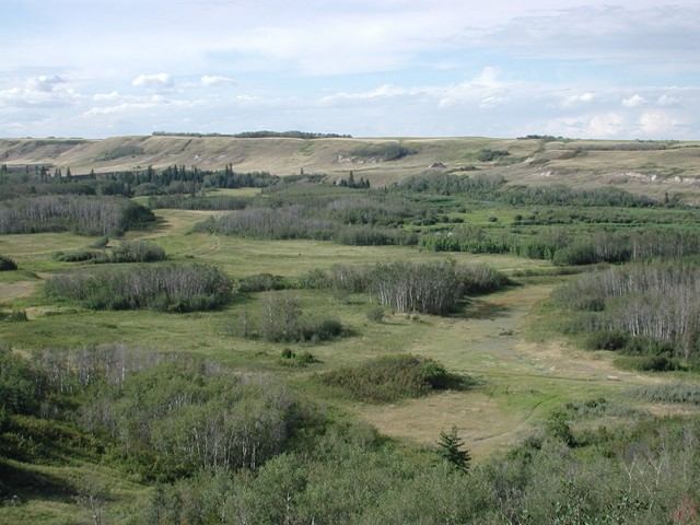 Rolling hills with grassy fields and scattered shrubs under a partly cloudy sky.