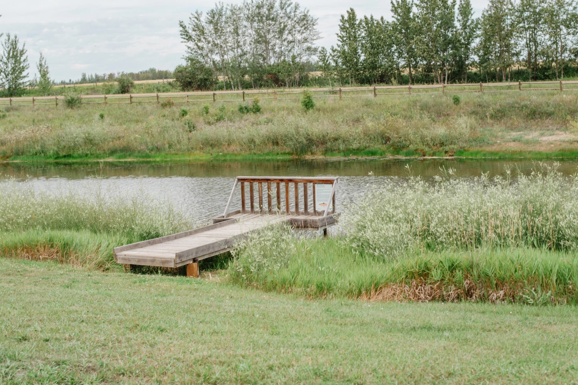 Wooden dock extends into a small pond, surrounded by tall grass and trees.