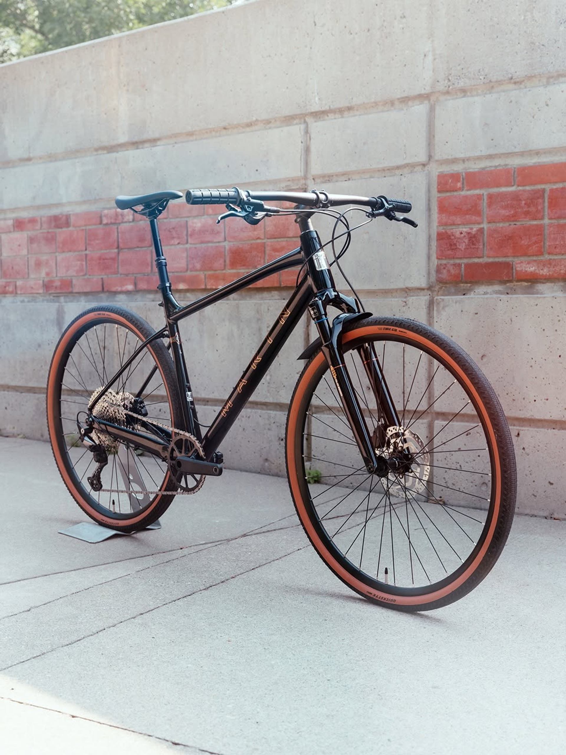 Black Marin bicycle with brown-walled tires stands beside a concrete and brick wall.
