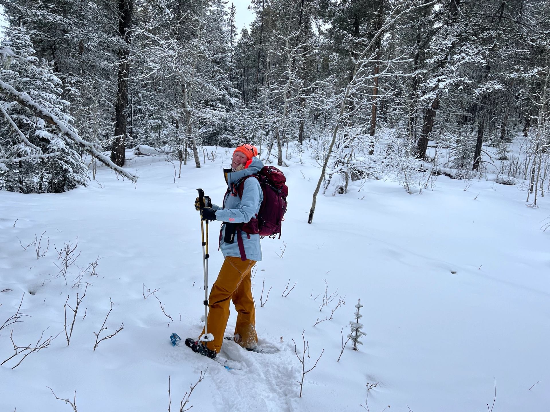 Snowshoer standing in a snowy forest with tall trees and fresh powder at Mount Backus.
