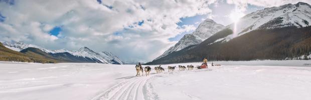 A group of people dog sledding in Spray Lakes, Kananaskis.