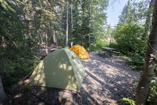 Camping site nearby Canmore Visitor Information Centre.