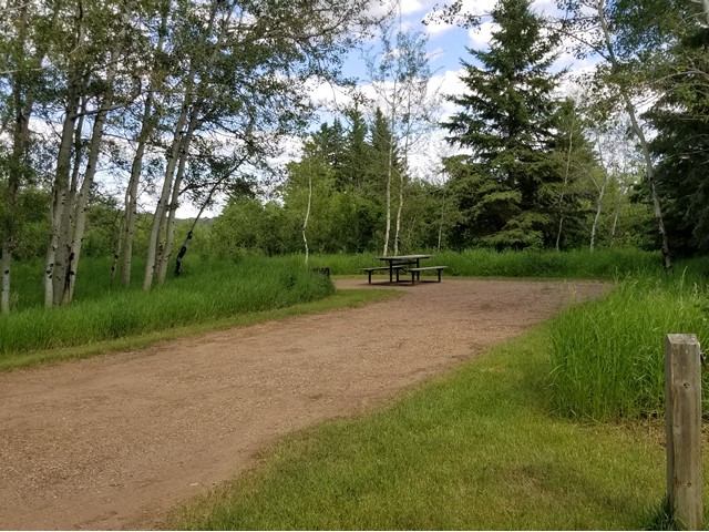 Picnic table on grassy path surrounded by trees and tall grass under a cloudy sky.