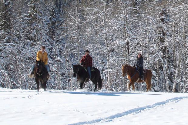 Trail ride during the snowy Winter months.