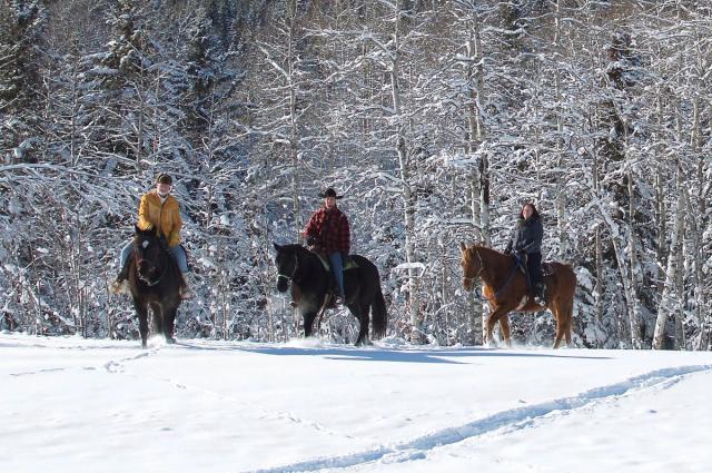 Trail ride during the snowy Winter months.