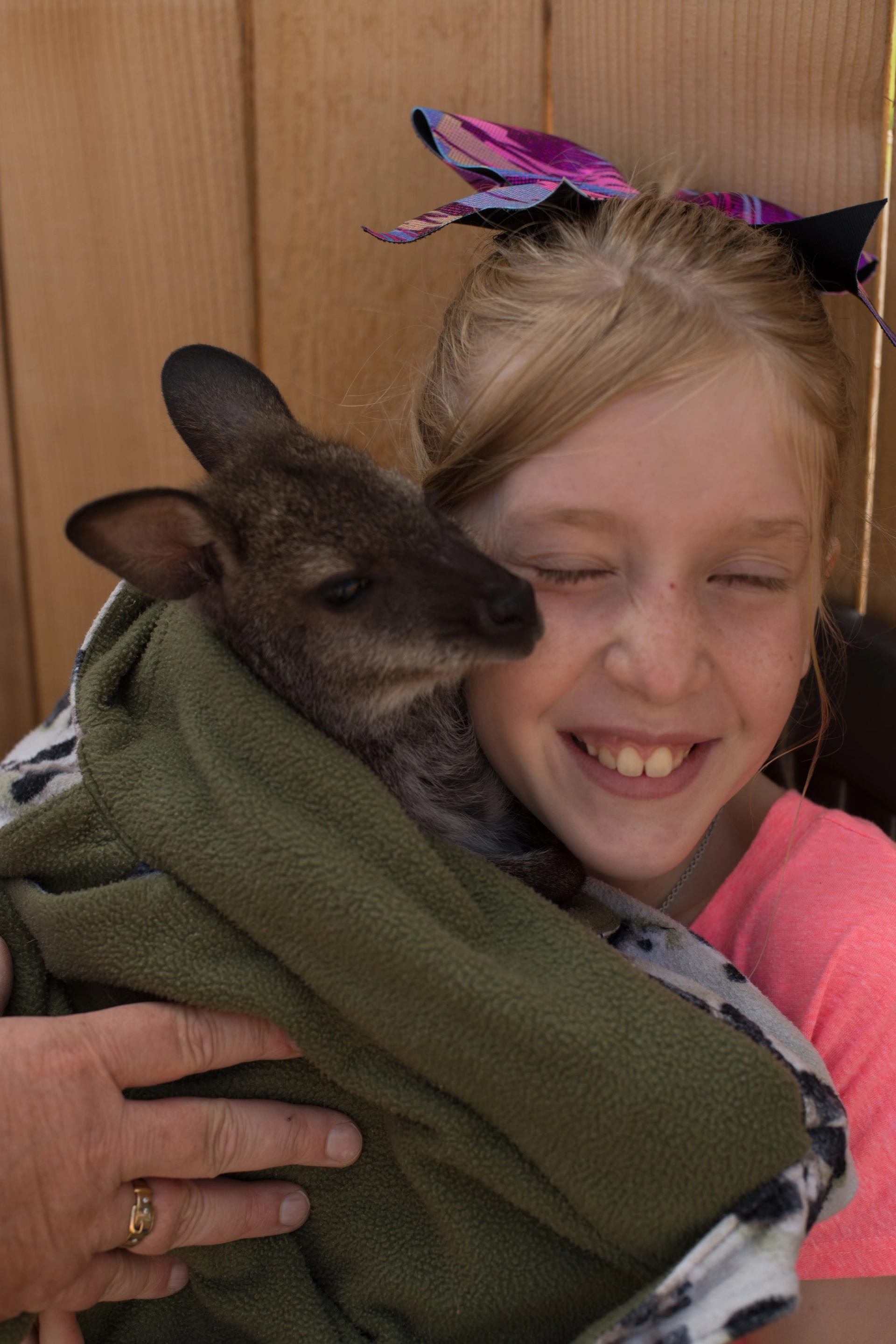 Child holding a brown kangaroo with a purple-and-pink butterfly hat.