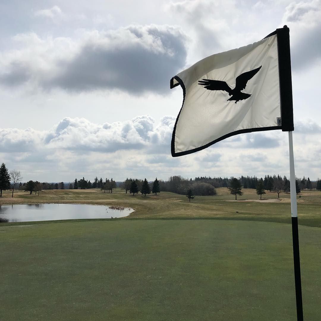 Golf flag with raven logo near water under cloudy sky.